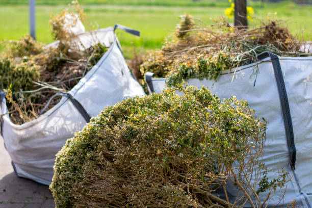 Best Scrap Metal Removal  in Orange Park, FL