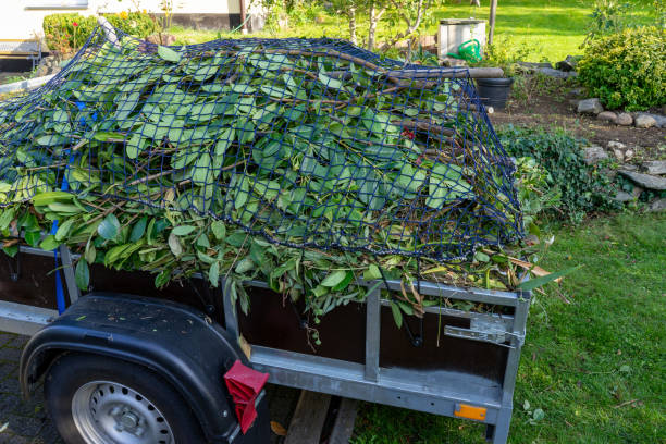 Best Scrap Metal Removal  in Orange Park, FL